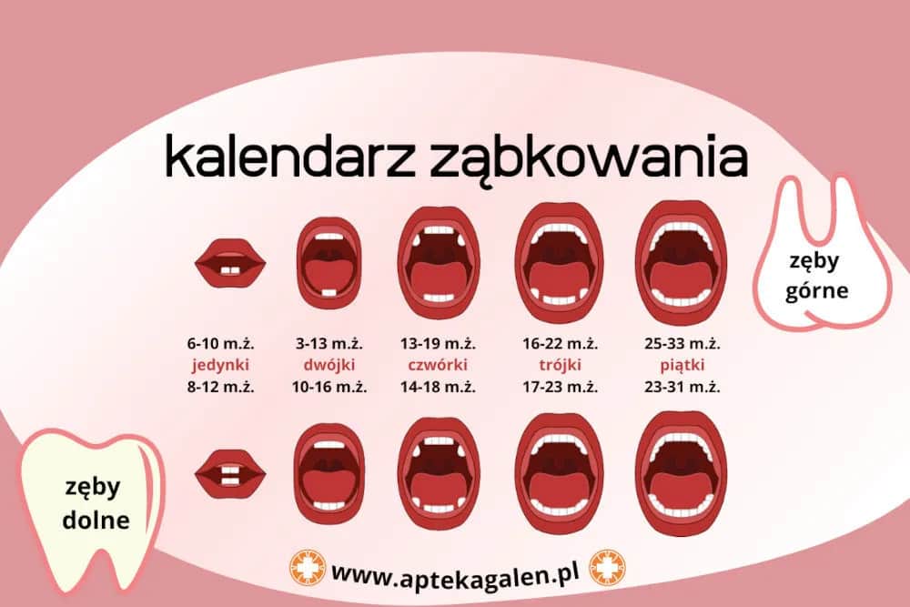 Piątki u dziecka: Kiedy wychodzą i jak ulżyć w bólu?